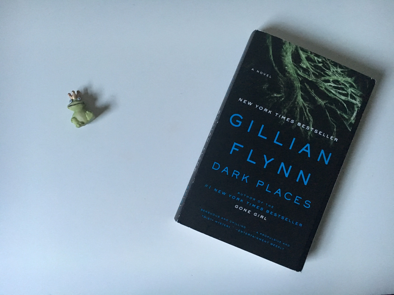 Review Buku Novel Dark Places oleh Gillian Flynn