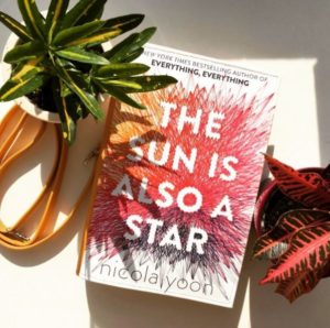 Review Buku Novel The Sun is also a Star