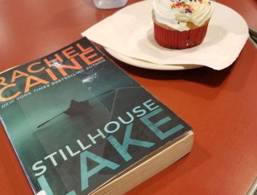 Review Buku Novel Stillhouse Lake