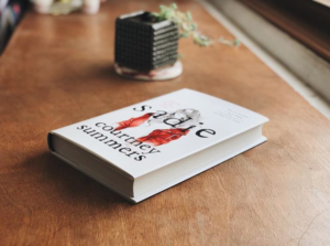 review buku novel sadie