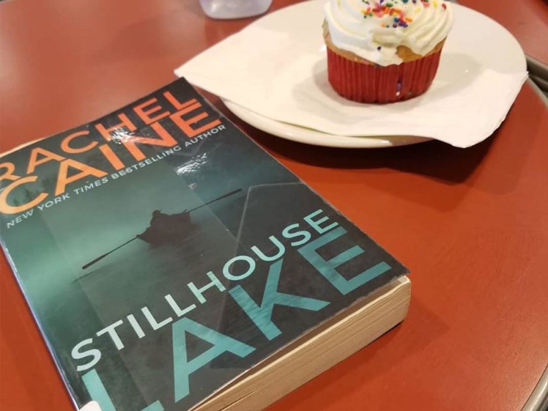 Review Buku Novel Stillhouse Lake